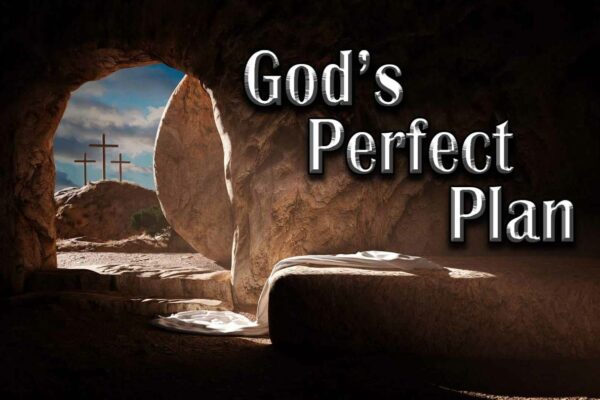 God’s Perfect Plan – Sold Out TV