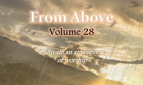 From Above Volume 28
